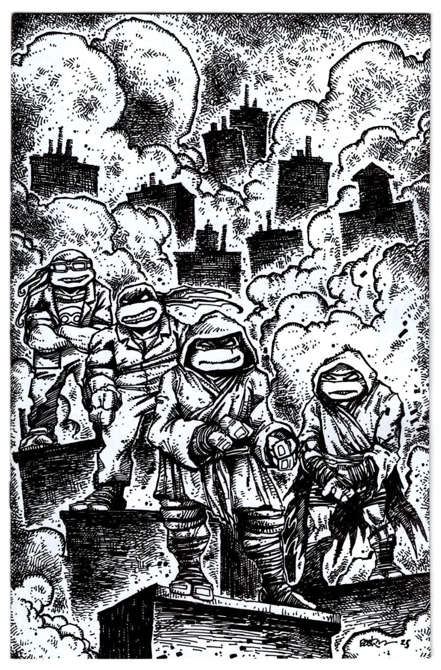 Teenage Mutant Ninja Turtles #10 Variant Ri (1:10) (Eastman Full Art)