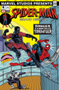 Punisher vs. Spider-Man #2 Adam Stafford Spider-Man: Brand New Day Marvel Studios Variant