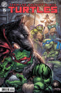 Teenage Mutant Ninja Turtles #15 Cover A (Williams II)